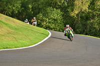 Middle Group Green Bikes